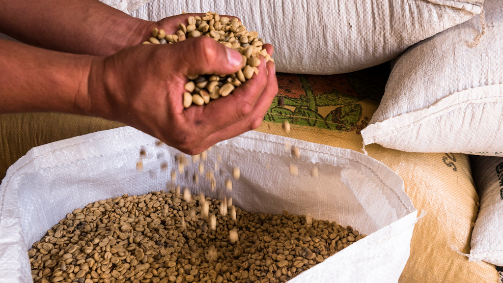 Café Americano 500g — Orígenes by MARAN