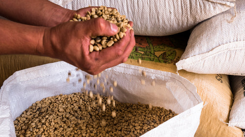 Café Americano 500g — Orígenes by MARAN