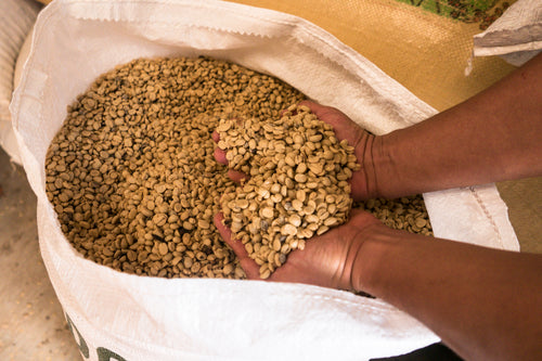 Café Cerezo 1kg — Orígenes by MARAN